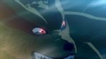NARUTO SHIPPUDEN: Ultimate Ninja STORM Legacy Steam PC Key GLOBAL - Image 3