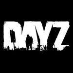DayZ Steam Key GLOBAL
